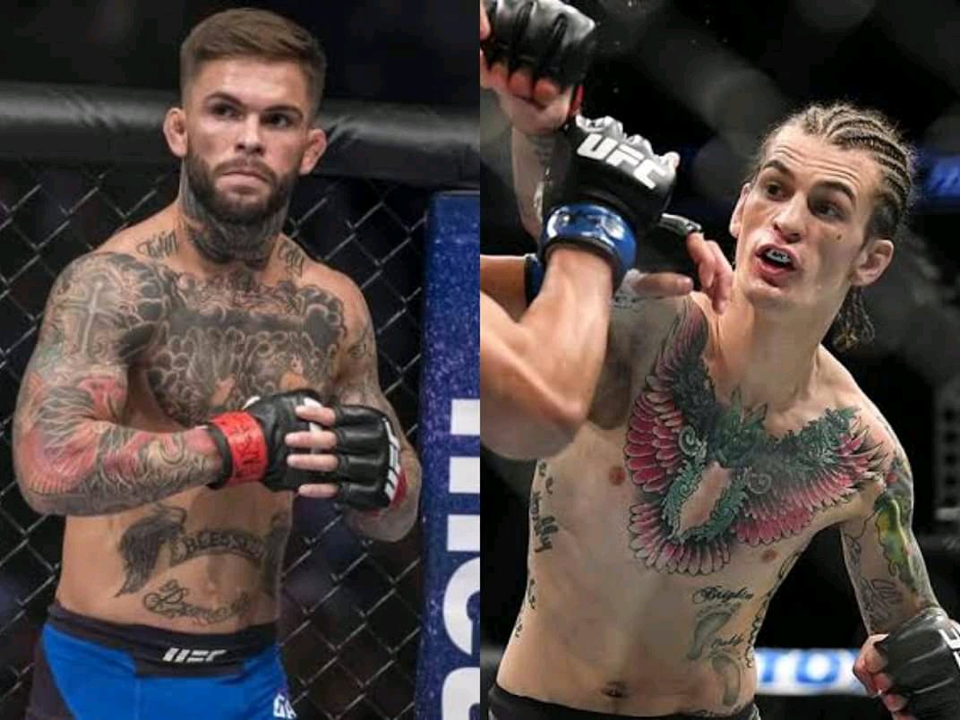 Cody Garbrandt trolls Sean O’Malley; Says, “Some people are not made for war”