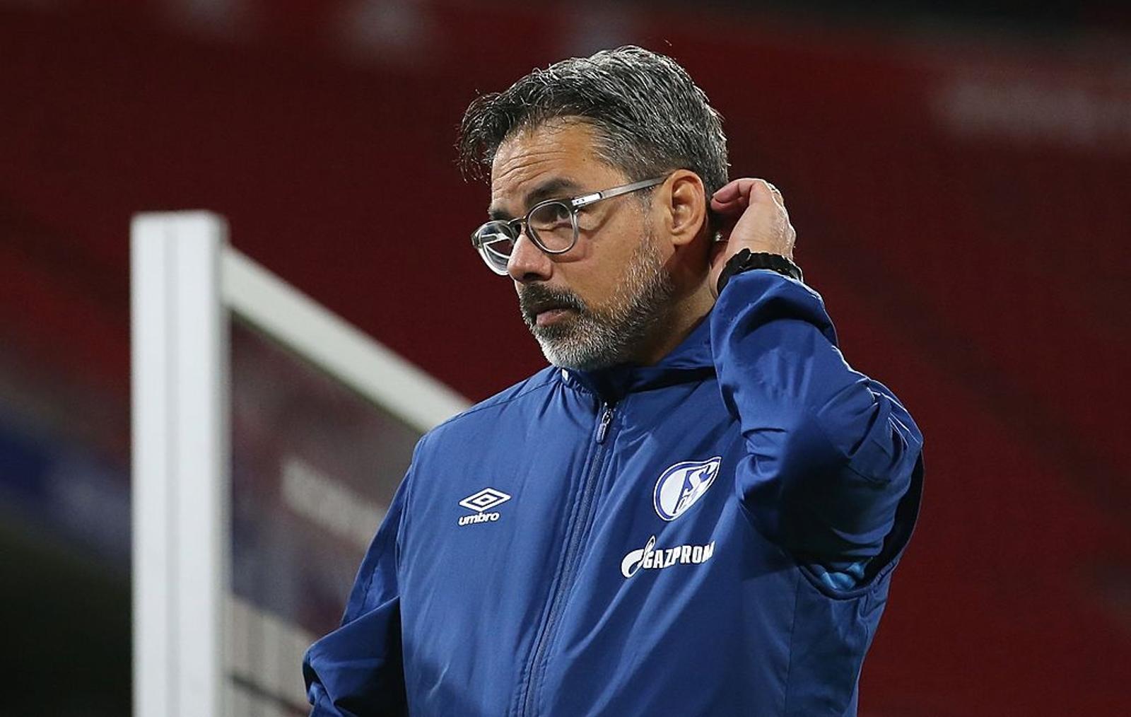 FC Schalke part ways with David Wagner