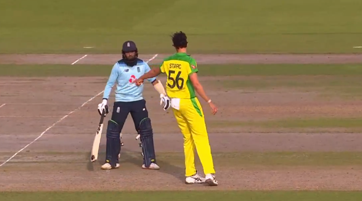 Watch: Mitchell Starc decides not to Mankad Adil Rashid, points the batsman to the crease