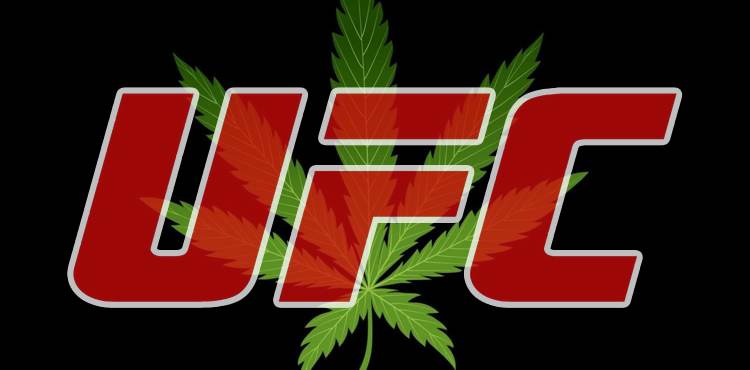 “By sanctioning on Marijuana, we are pushing athletes to drugs that are even more dangerous”   Jeff Novitzky on UFC’s Cannabis Sanctions