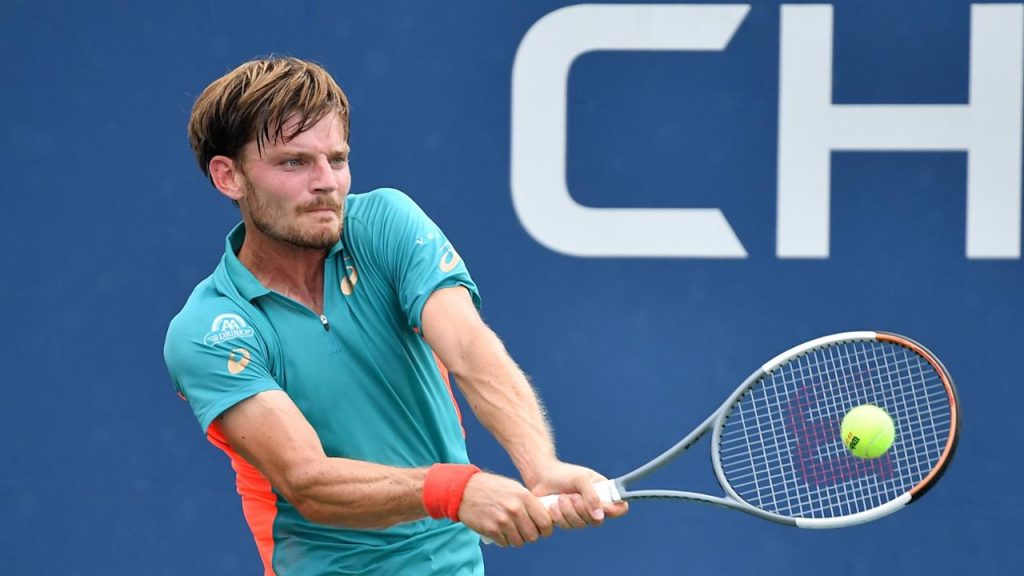 David Goffin