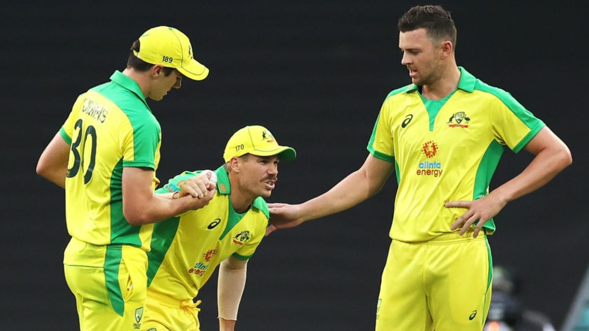 India vs Australia : Groin strain rules David Warner out of final ODI and T20 series, Pat Cummins rested