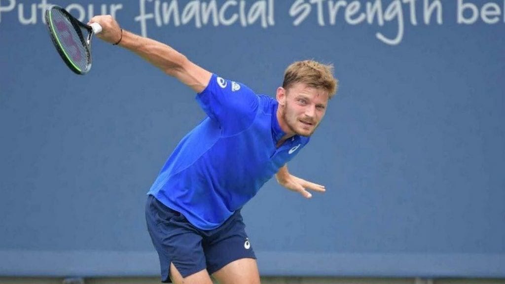 David Goffin