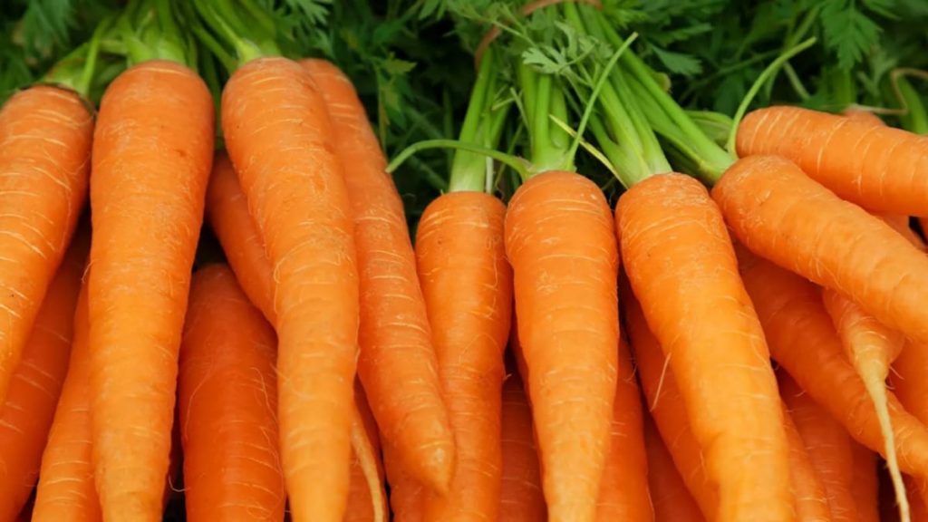 Carrots