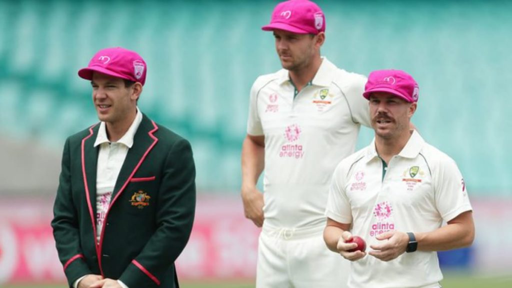 Tim Paine, Josh Hazlewood and David Warner flaunting the 'Baggy Pink' cap