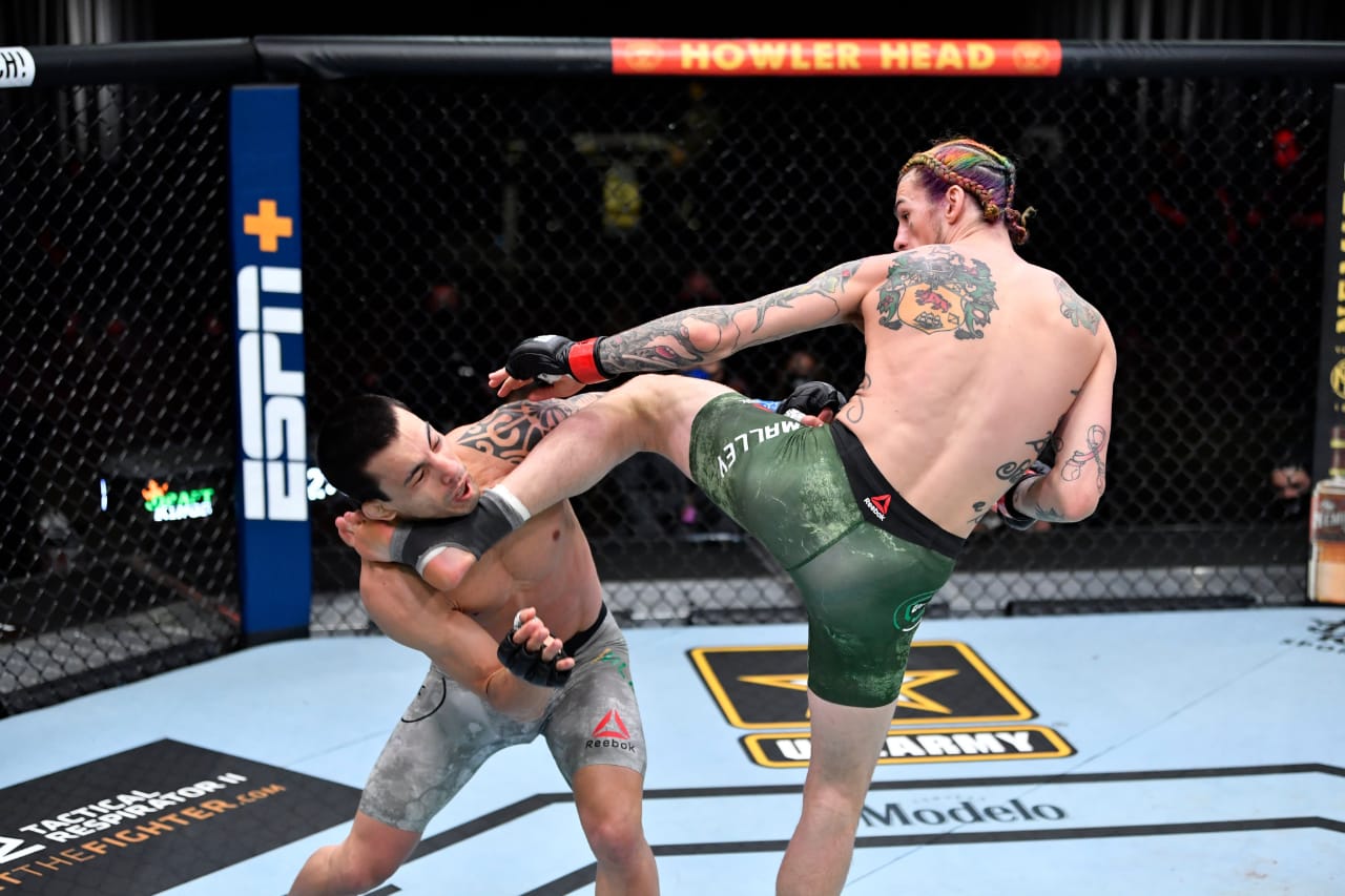 UFC 260: Sean O’Malley knocks Thomas Almeida out!