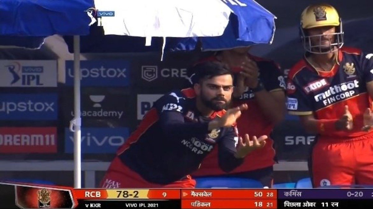 IPL 2021: WATCH – Virat Kohli cheers gleefully as Glenn Maxwell gets to fifty