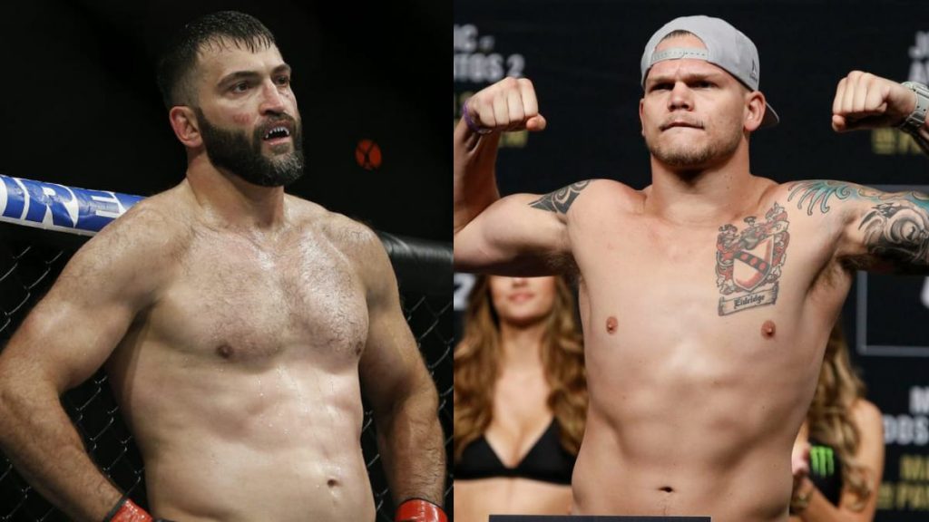 Andrei Arlovski vs Chase Sherman