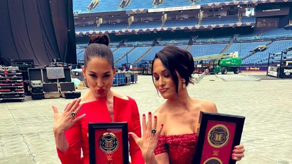 wwe hall of fame bella twins