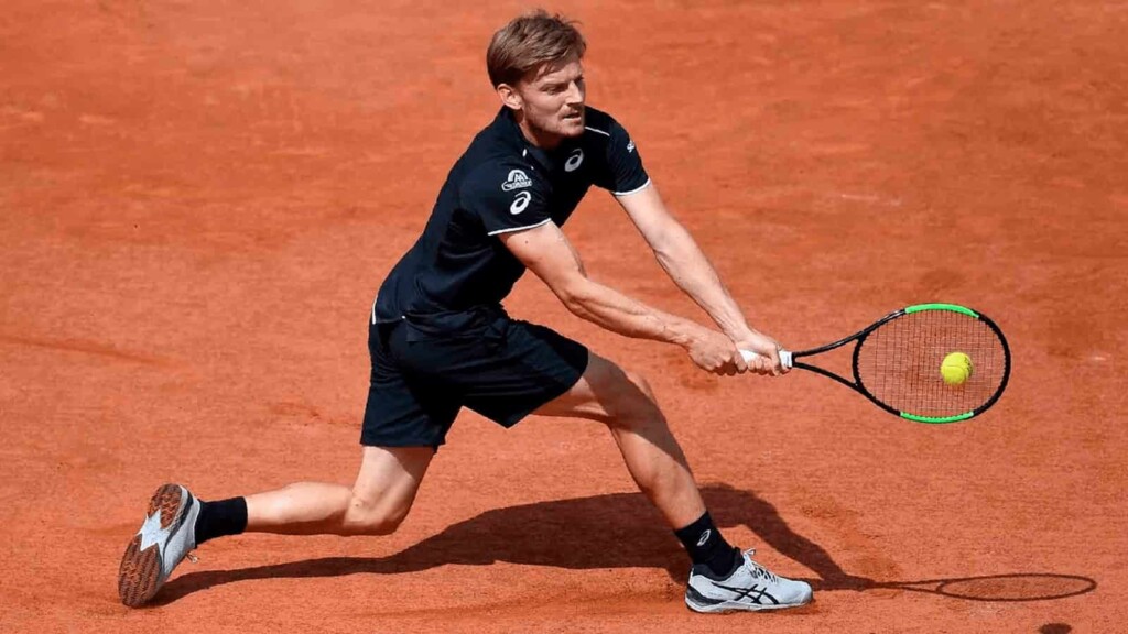 David Goffin will be the favourite in the upcoming Aljaz Bedene vs David Goffin clash at the Lyon Open 2021.