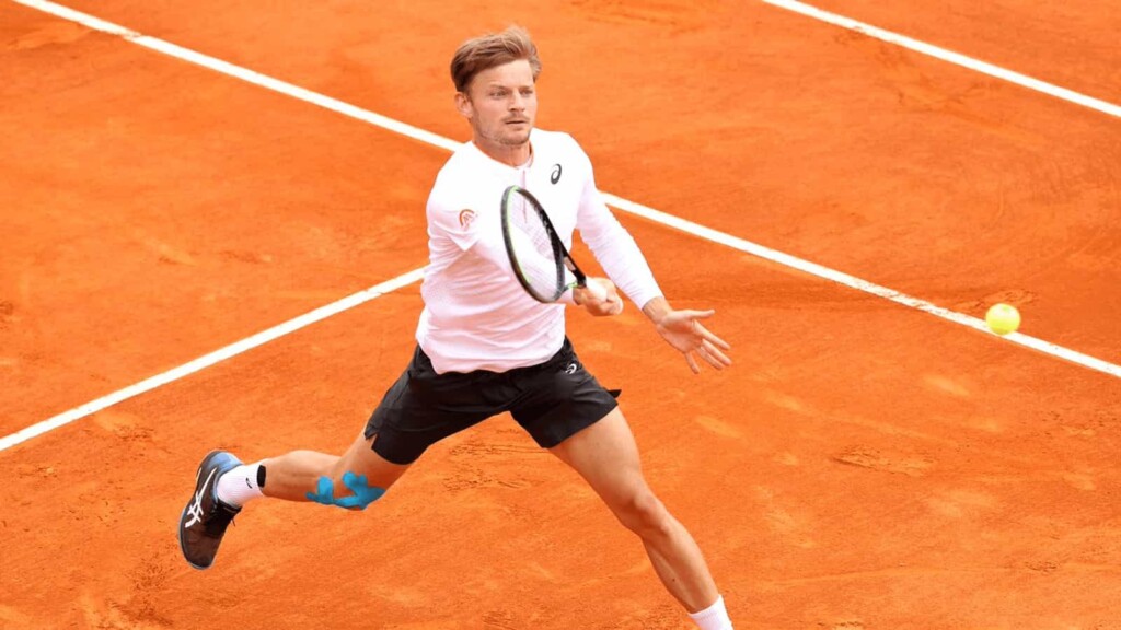 David Goffin