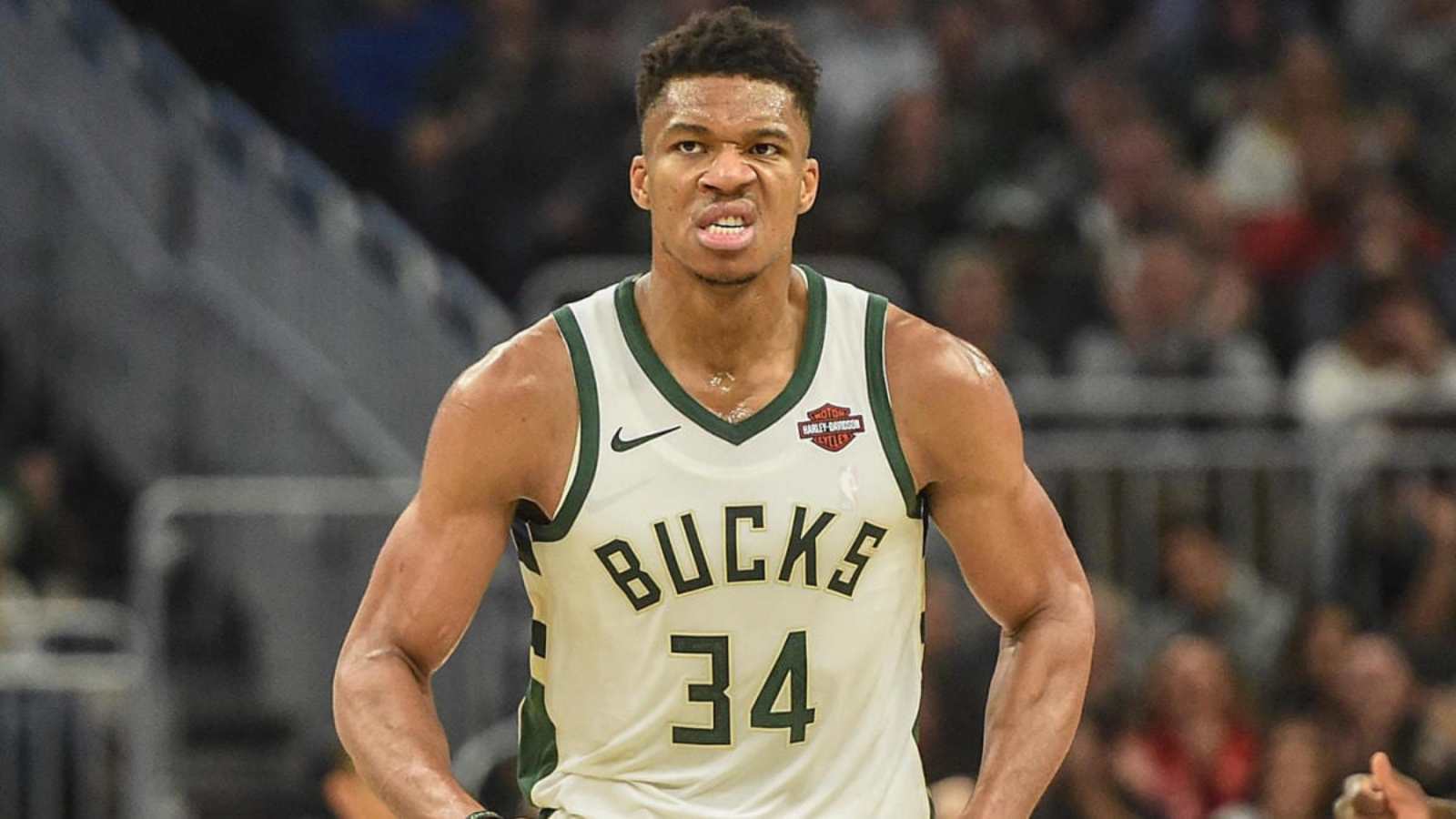 Video: Giannis Antetokounmpo schools the entire opposition defense in Bucks vs Timberwolves