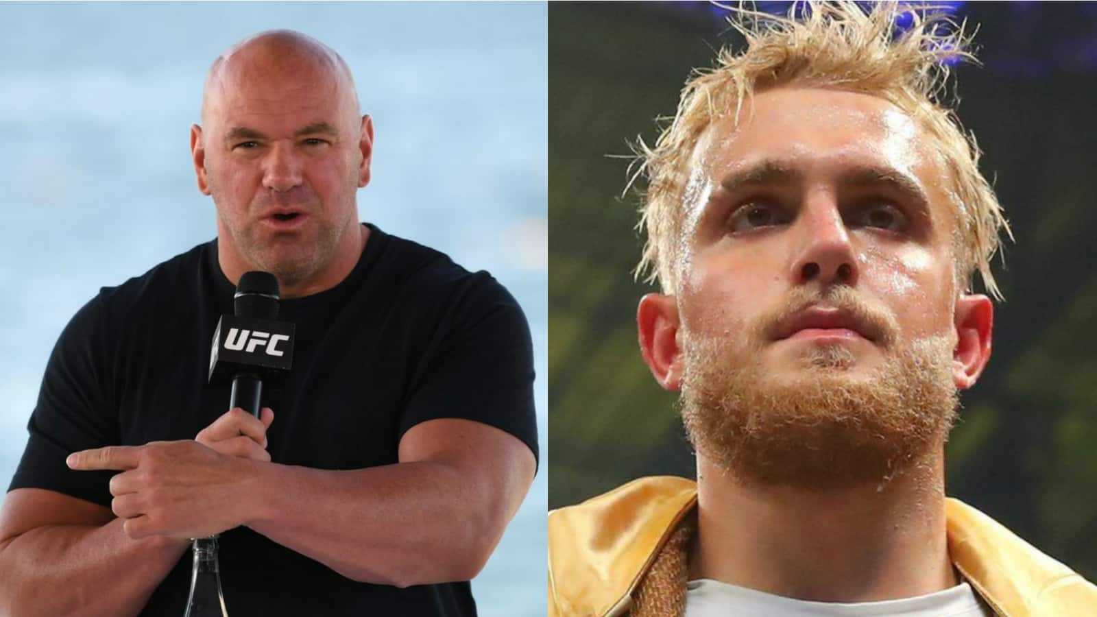 “Let’s see how long it takes before this kid’s 15 minutes are up,” Dana White once again insults Jake Paul and gets an equally insulting reply