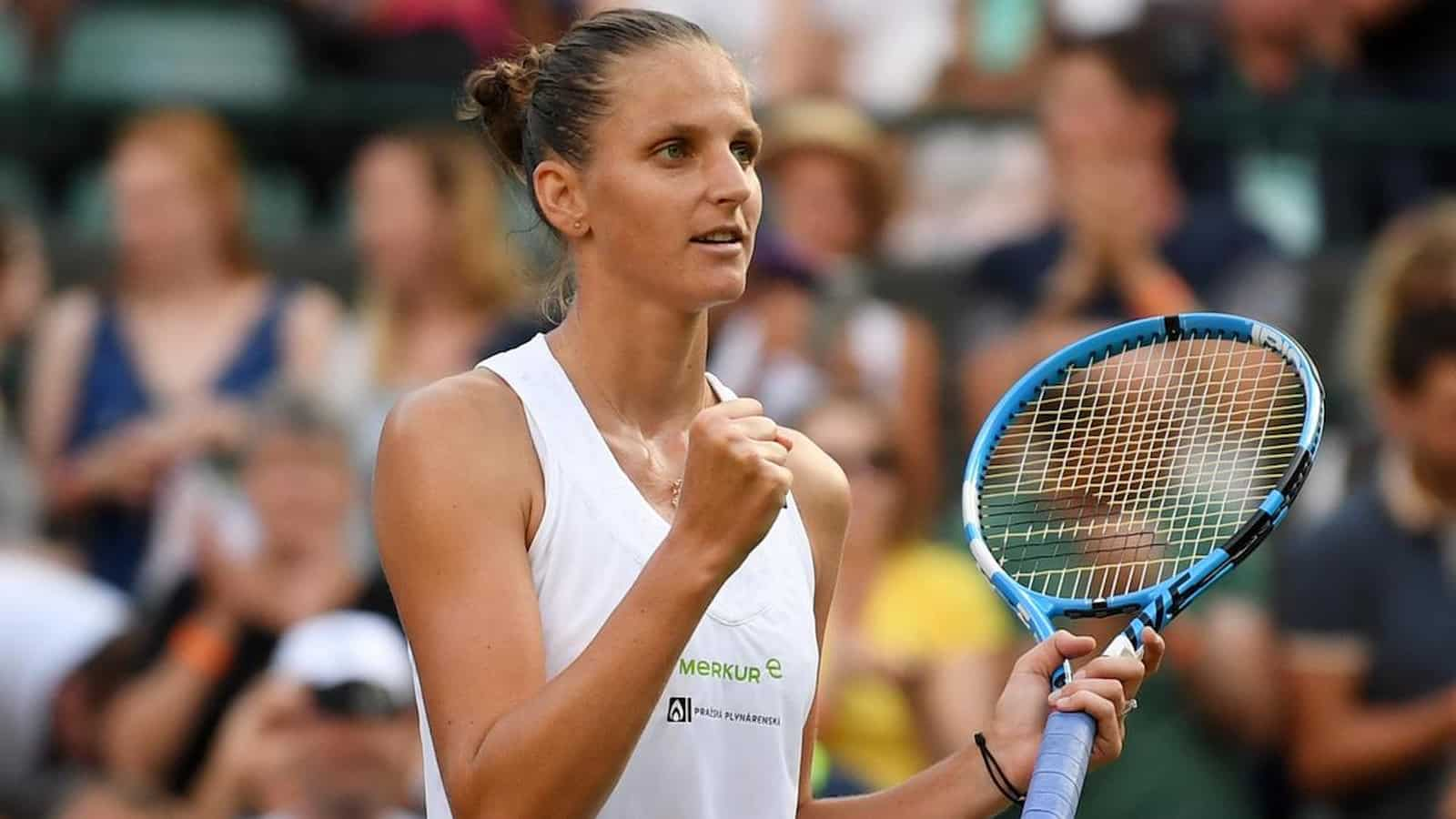 When did Karolina Pliskova turn pro?