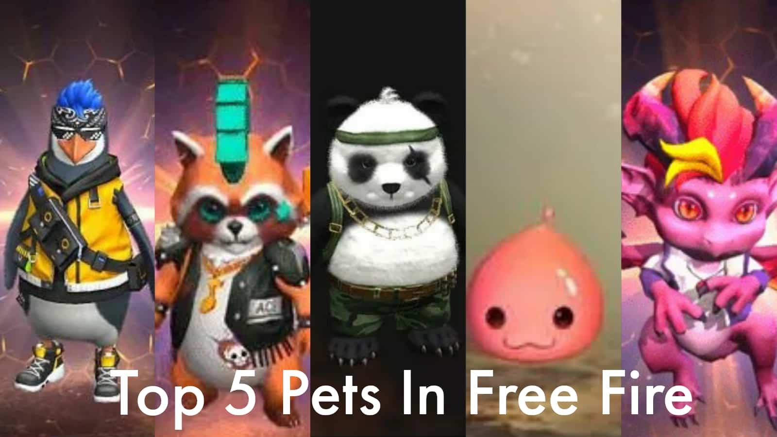 Top 5 Cheapest Pets In Free Fire After OB28 Update