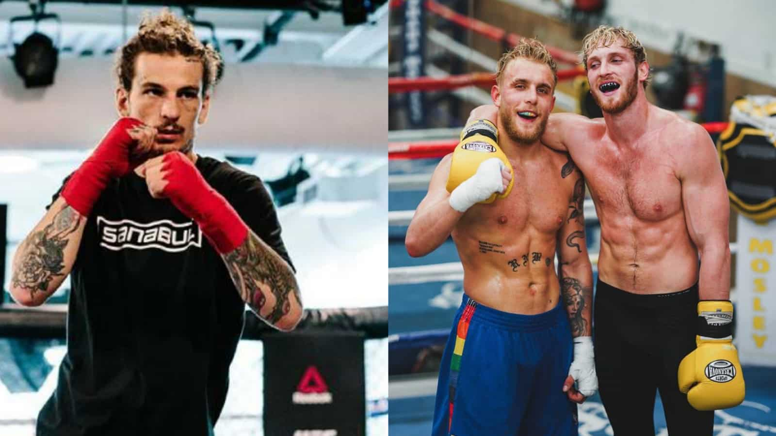 “I might go to his camp,” Sean O’Malley will help Jake Paul train to defeat Tyron Woodley in the upcoming boxing match