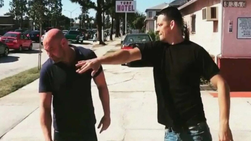 Nate Diaz slapped Dana White