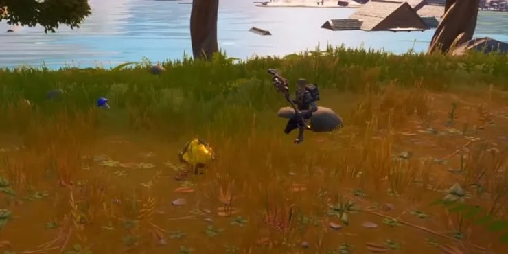 Fortnite Golden Mushroom: Where and How to Find