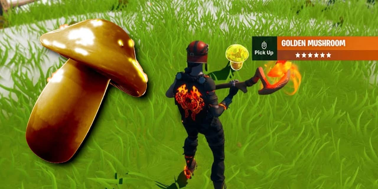 Fortnite Golden Mushroom: Where and How to Find it