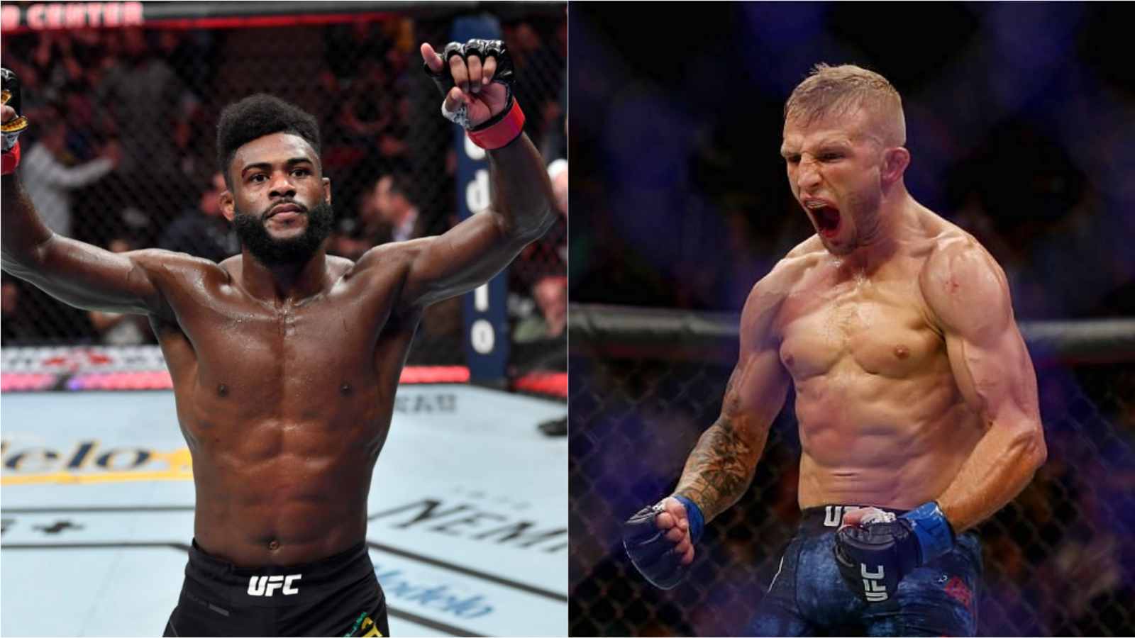 “It’s a pretty easy fight for me”- TJ Dillashaw makes bold claims for his title fight against Aljamain Sterling