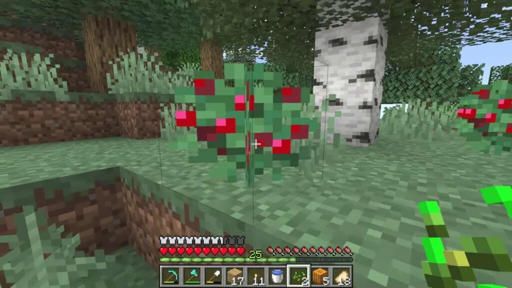 Minecraft Sweet Berries