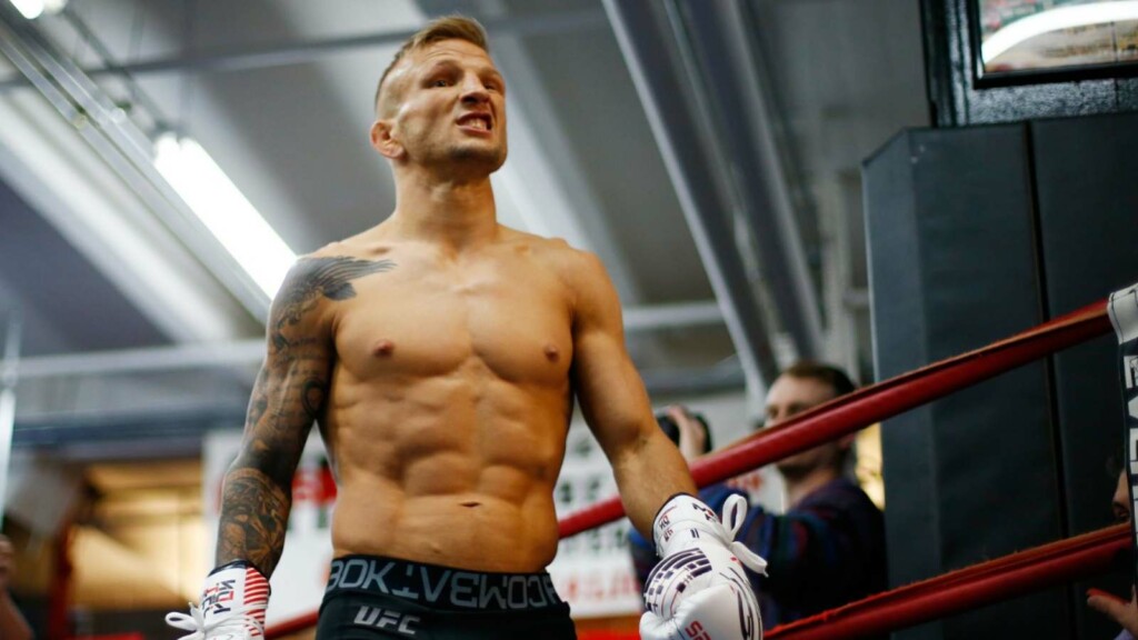 TJ Dillashaw net worth