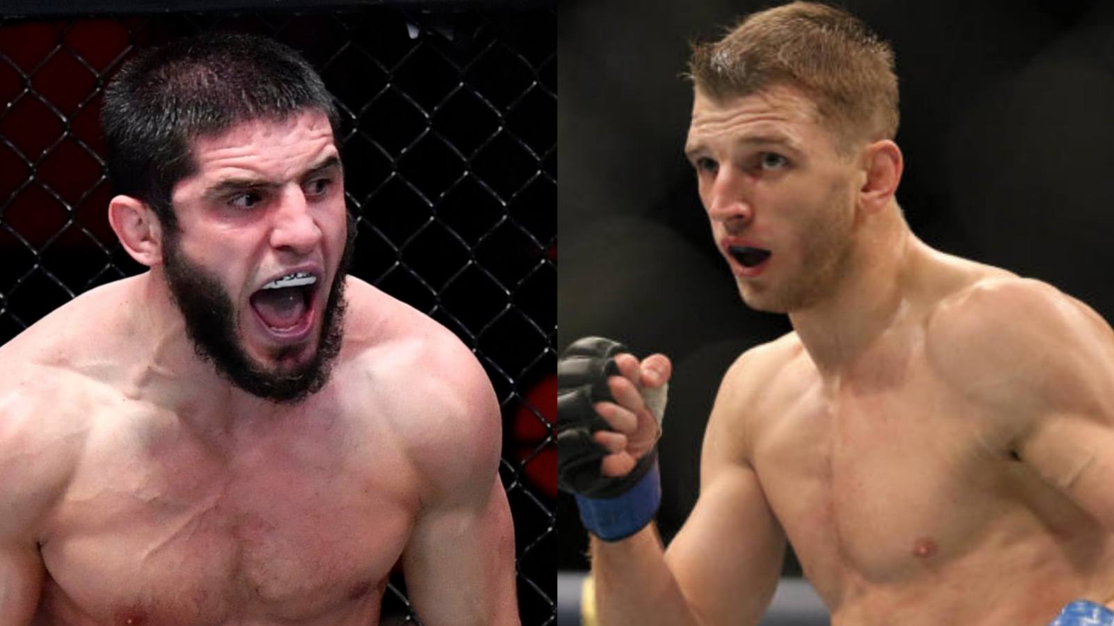 “Win something and we can talk,” Islam Makhachev and Dan Hooker have a battle of words on Twitter after the Kiwi’s comments on UFC Vegas 31