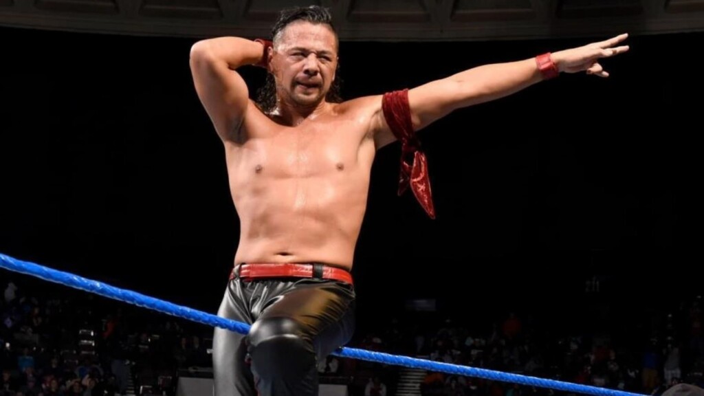 shinsuke nakamura net worth