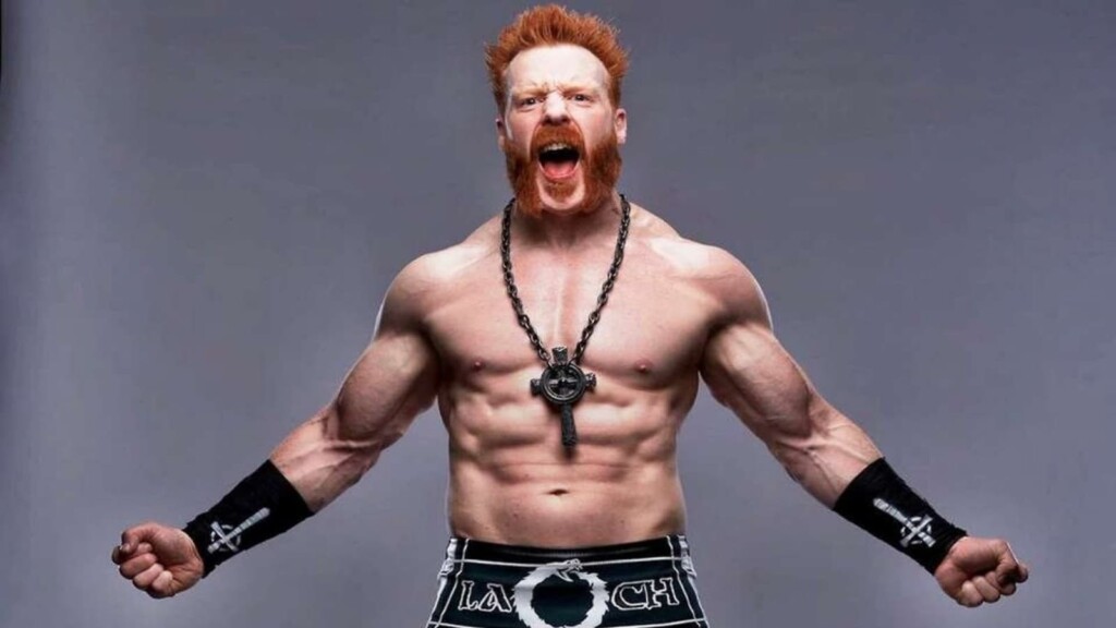 sheamus net worth