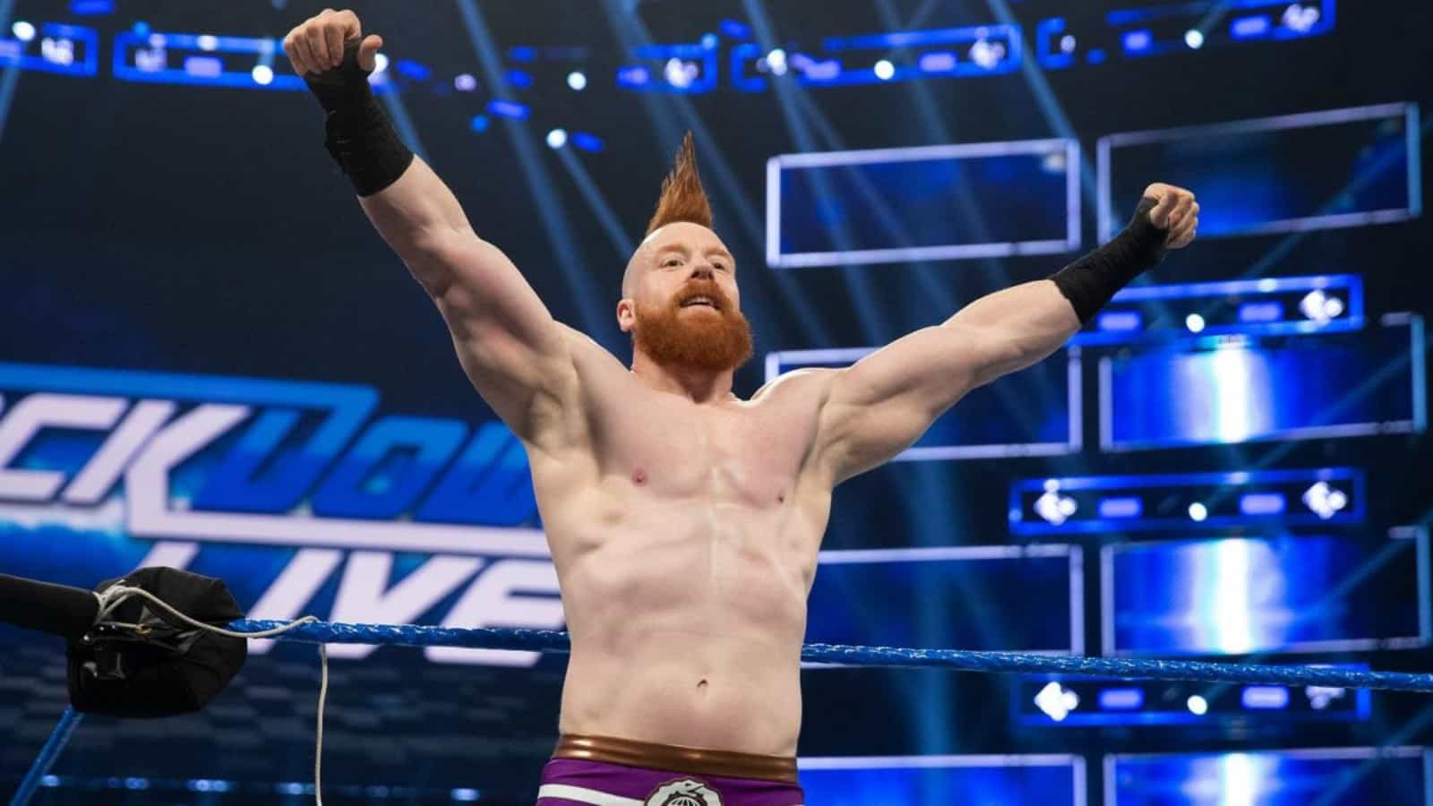 “As long as I can make everything fun in life, that’s the most important thing” – Sheamus revealed his intention to act in Hollywood movies