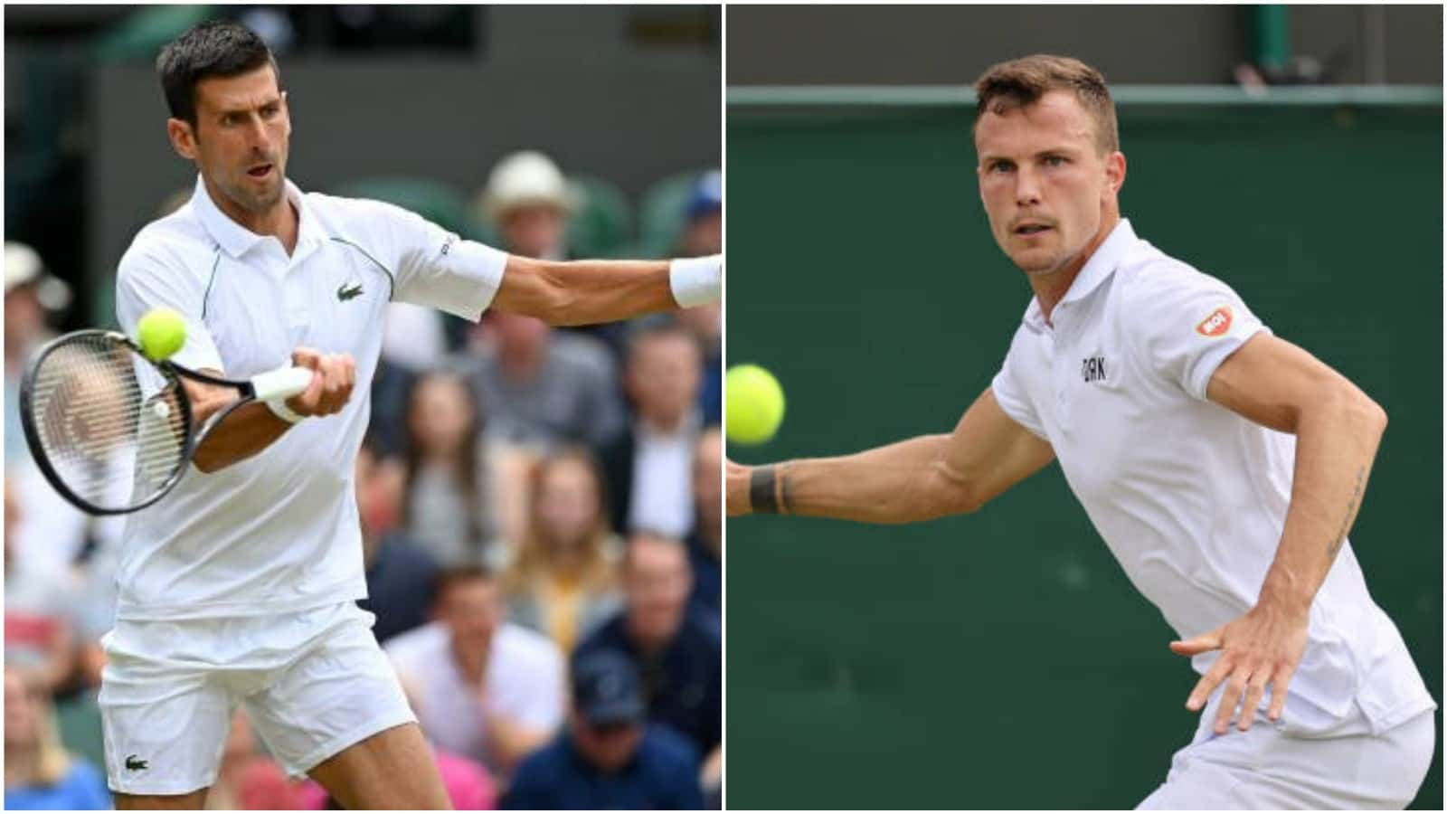 Wimbledon 2021: Novak Djokovic vs Marton Fucsovics: Preview, Head to Head and Prediction for Wimbledon