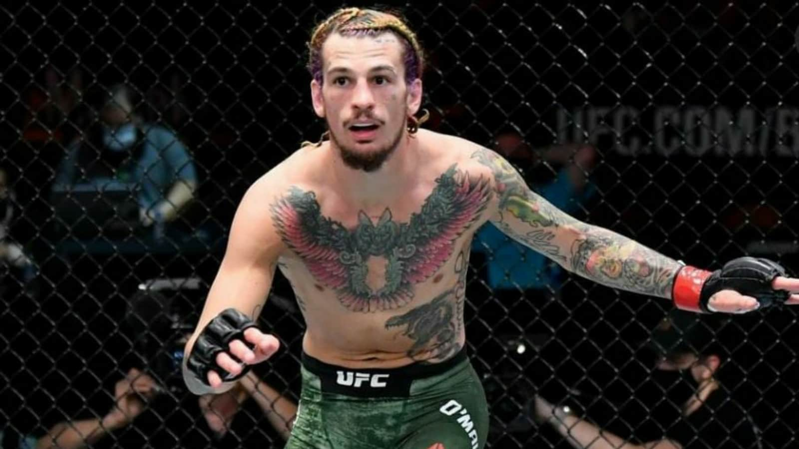 Sean O’Malley has a bizarre conspiracy theory on why Louis Smolka pulled out from their fight