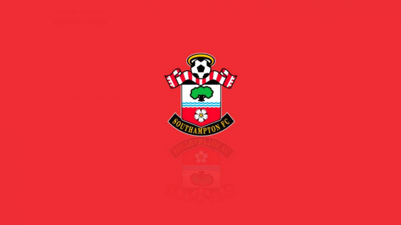 Who is the owner of Southampton FC?