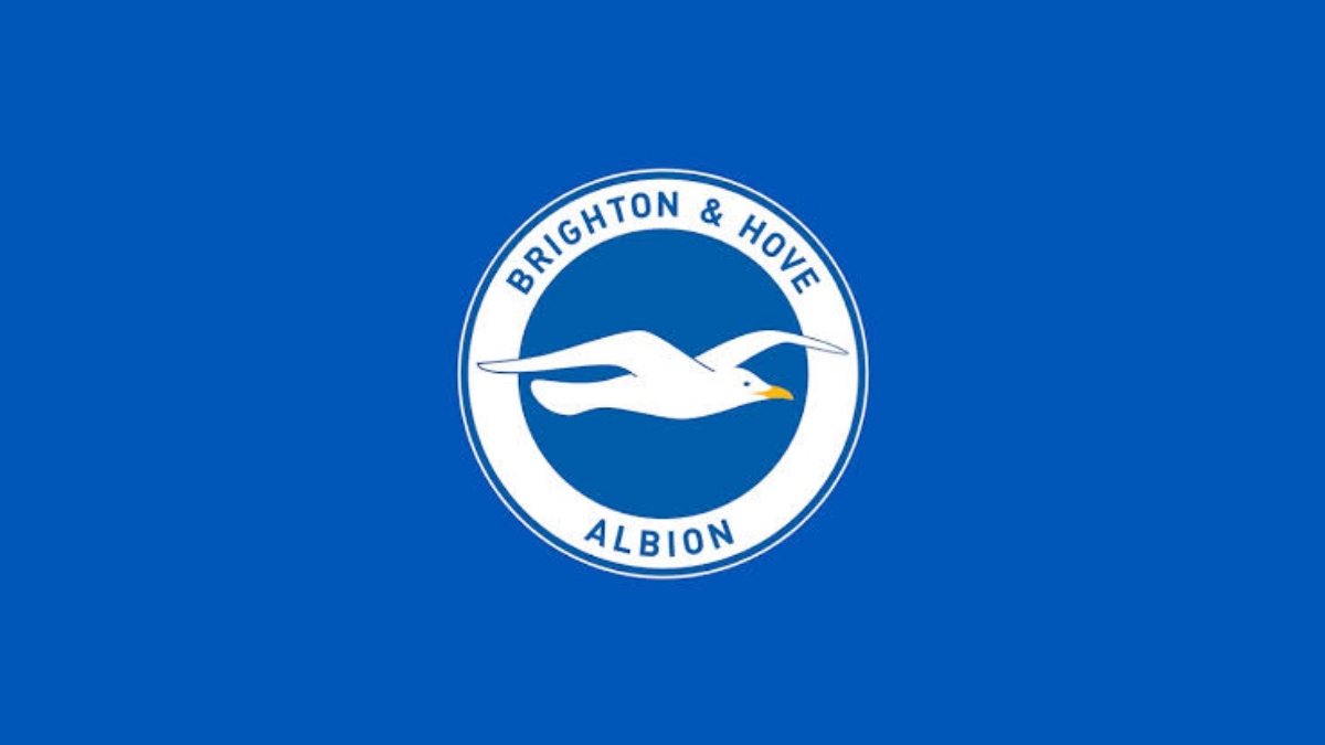 Who is the owner of Brighton and Hove Albion?