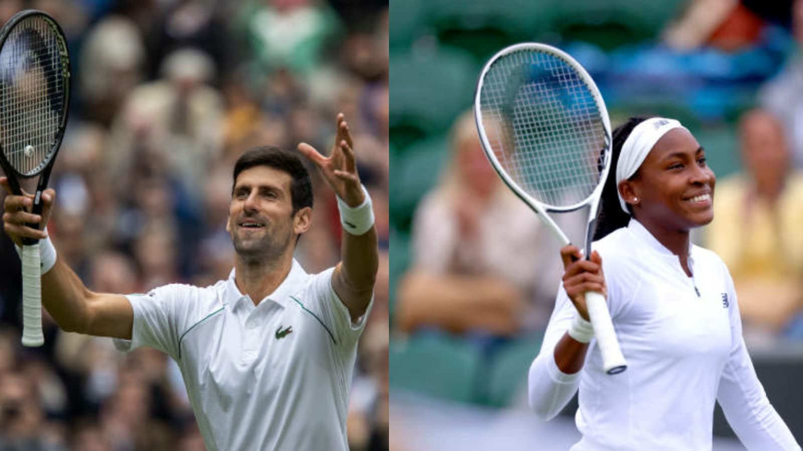 ‘Spiderman returns!’ Novak Djokovic jokes on his stretching skills, Coco Gauff follows