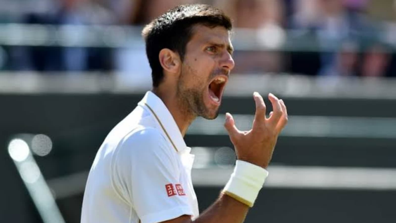 Novak Djokovic on Hecklers: I am fine with the noise, but not when done intentionally over and again