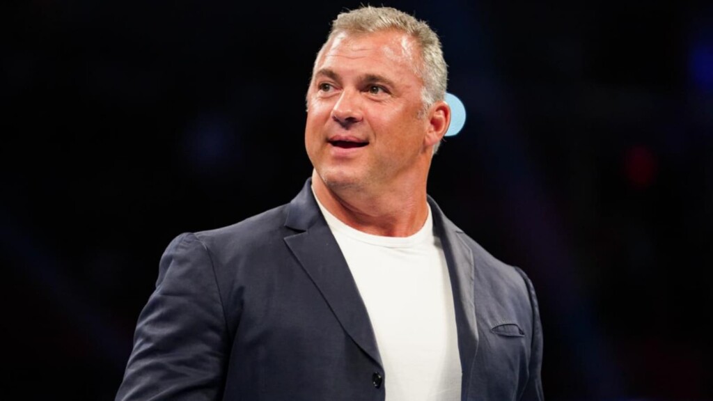 shane mcmahon net worth