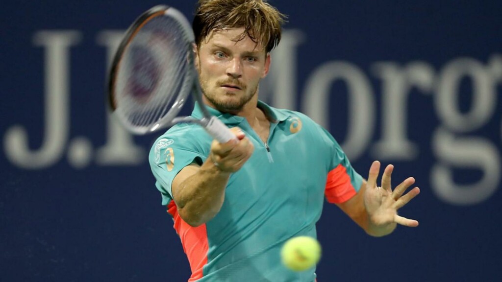 David Goffin