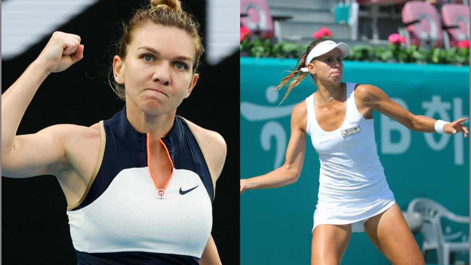 Western & Southern Open 2021: Simona Halep vs Magda Linette Preview, Head to Head, Prediction and Live Stream for Cincinnati Open