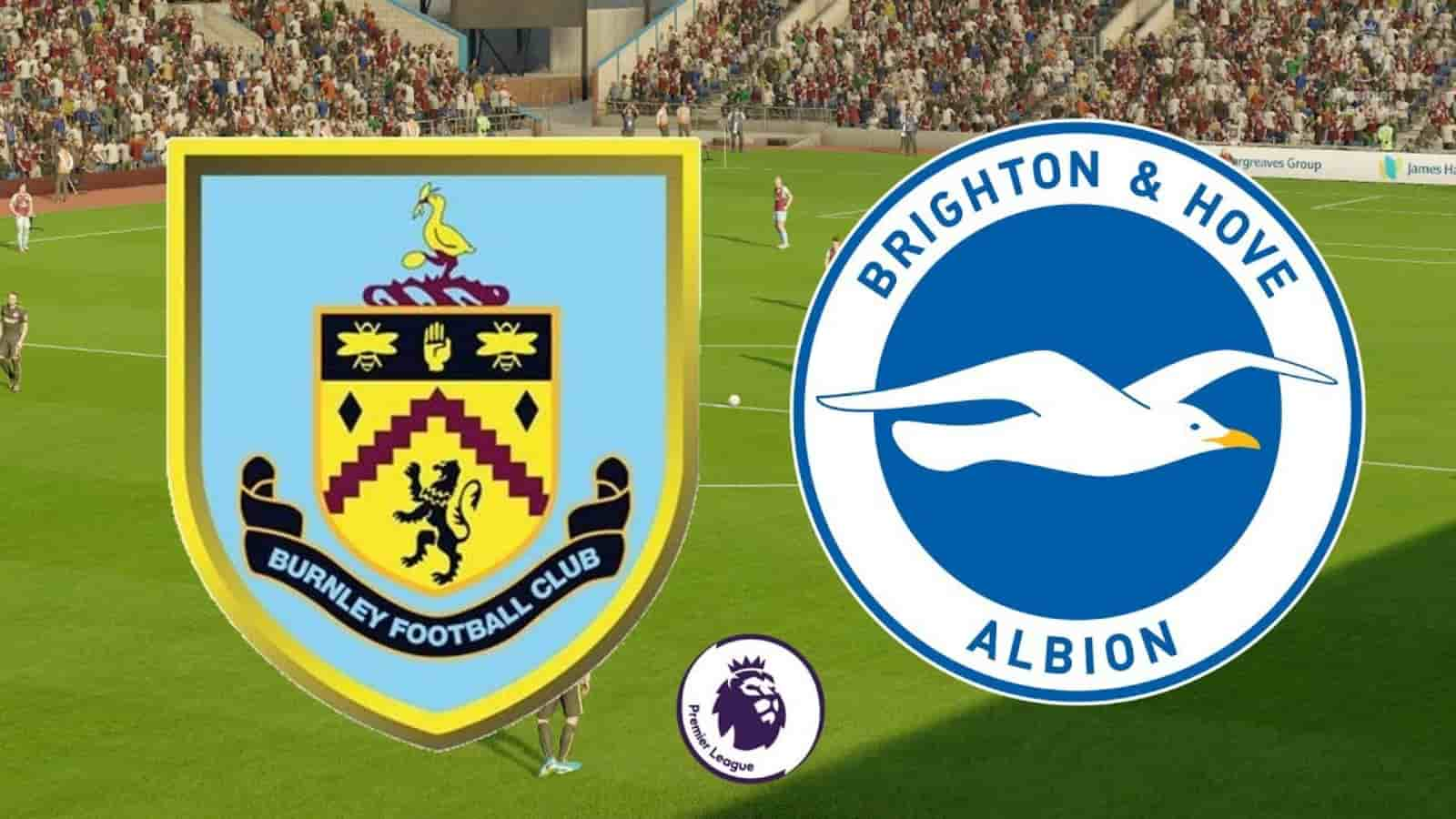 Premier League: Burnley vs Brighton Live Stream, Preview and Prediction