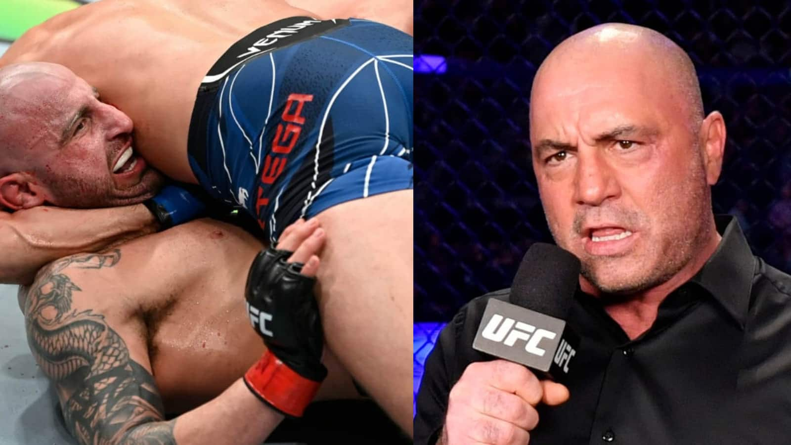 “99.99% of people would’ve tapped out,” Joe Rogan talks Brian Ortega’s deadly choke on Alexander Volkanovski at UFC 266