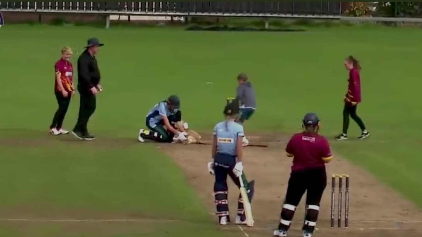 Watch: Puppy invades the pitch during Ireland’s domestic Women’s T20 tournament