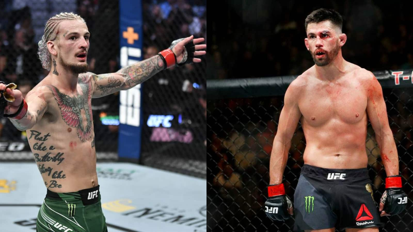 “Is he even main eventing the prelims anymore,” Sean O Malley mocks Dominick Cruz for fighting at undercard on UFC 269