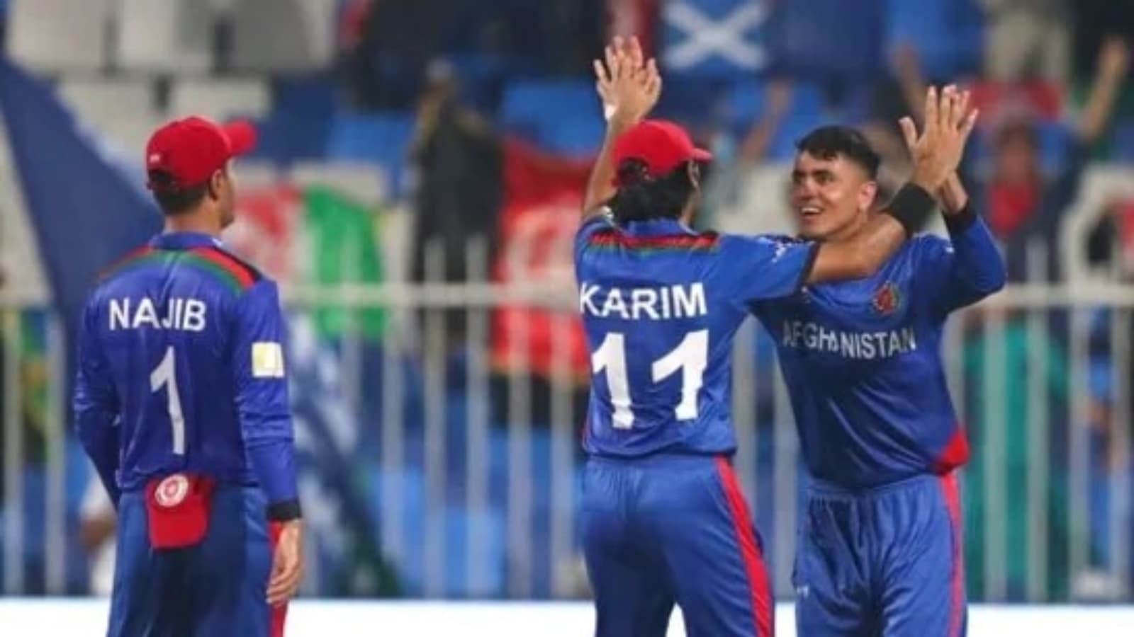 Afghanistan vs Scotland player ratings: Mujeeb Ur Rahman single-handedly destroys Scotland to take Afghanistan home by 130 runs