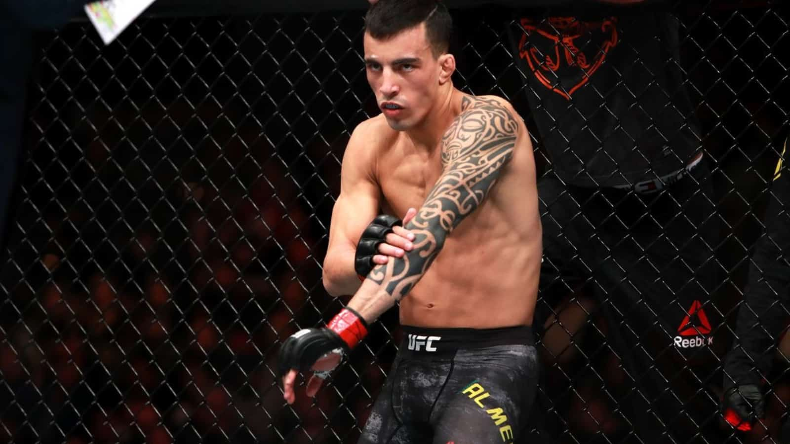 Report: Bantamweight prospect Thomas Almeida and other fighters released from the UFC roster