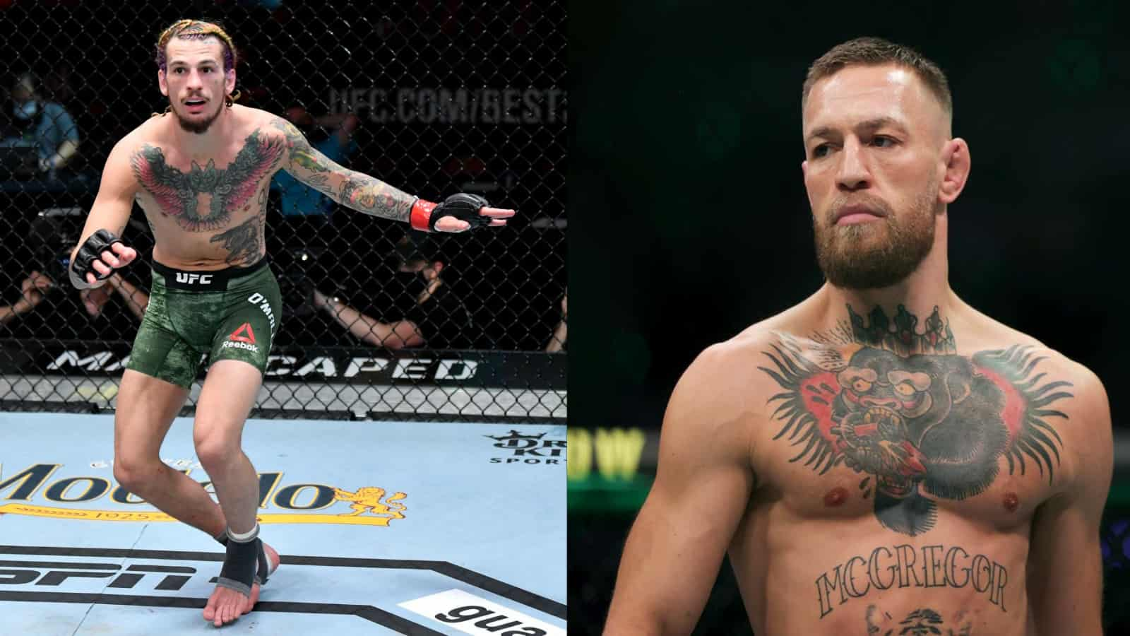 “Let me take care”, former 2-division champ Conor Mcgregor surprise team up with Sean O’Malley to troll interim UFC champion