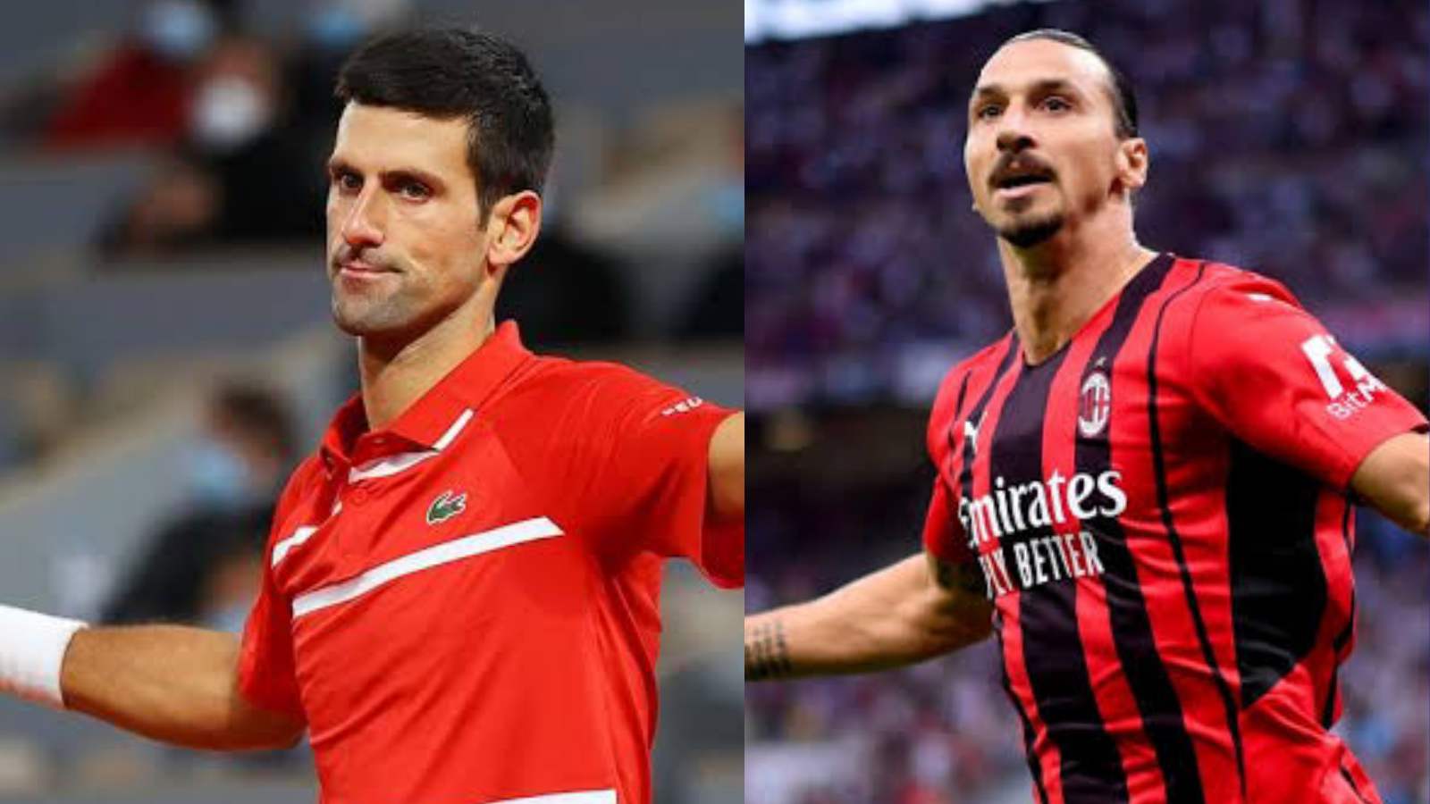 “I recognize myself very much in Zlatan” Novak Djokovic on his defeat the US Open, return to the 2021 ATP Finals, and relationship with Zlatan Ibrahimovic