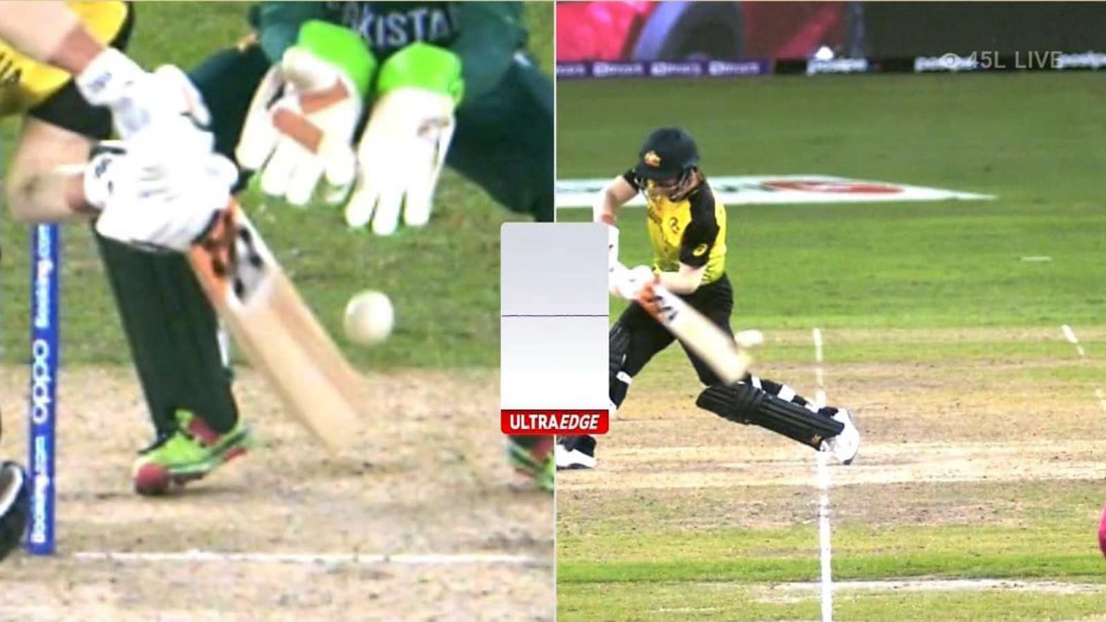 T20 World Cup 2021: ‘Not Out’ David Warner gifts wicket after deciding against taking DRS; replays show the otherwise