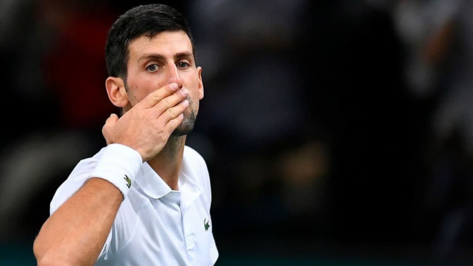 “Novak Djokovic has set a new standard,” Jon Wertheim thinks Novak to close out the year by winning ATP finals in Turin