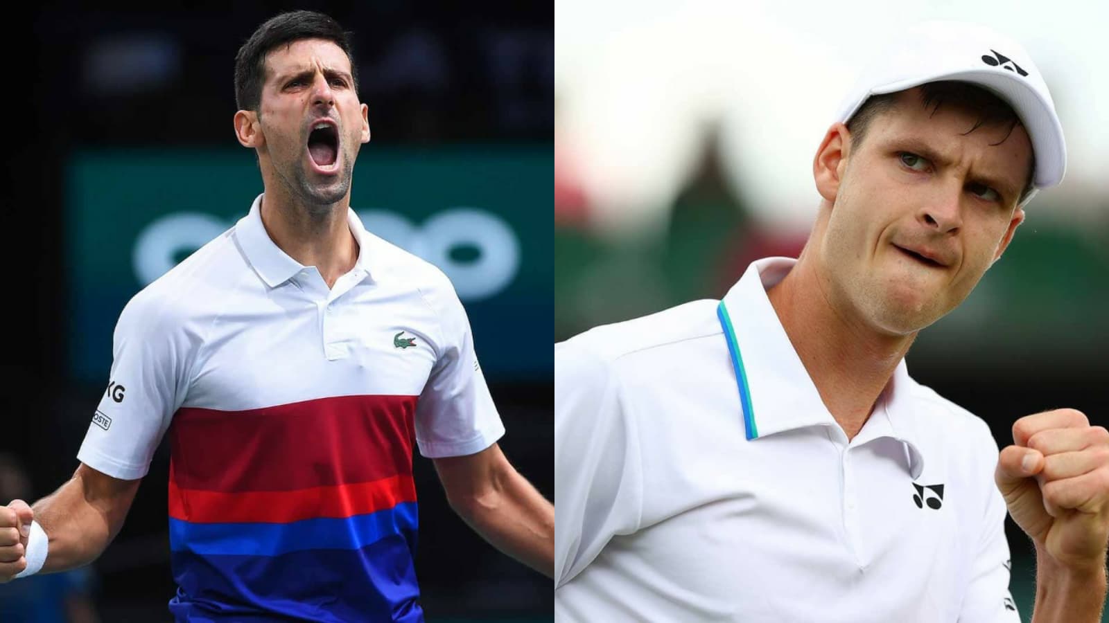 Paris Masters 2021: Novak Djokovic vs Hubert Hurkacz Preview, Head to head, Prediction and Live Stream